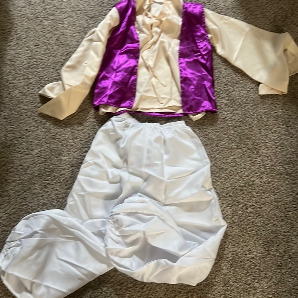 Aladdin costume